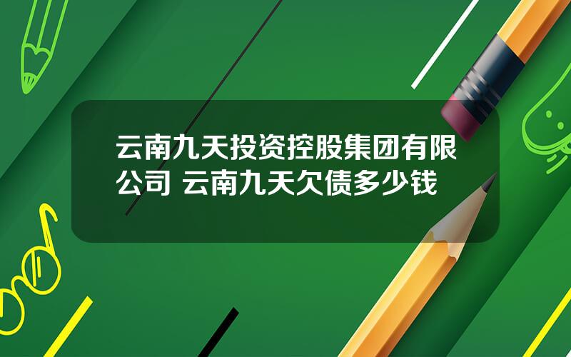 云南九天投资控股集团有限公司 云南九天欠债多少钱